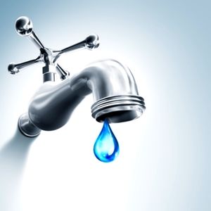 Meet your Posher, Zoro